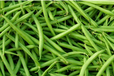 Fagiolino