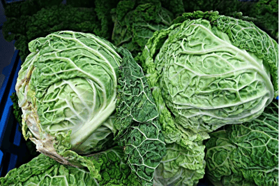 Cavolo