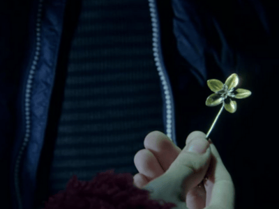 The Plant Key