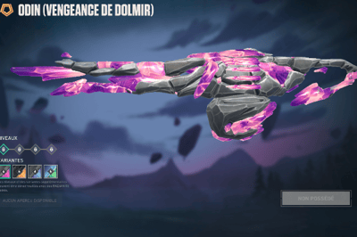 Dolmir