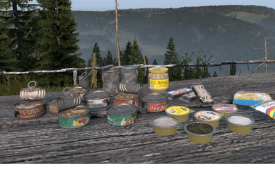 DayZ