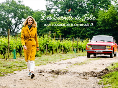 Les carnets de Julie