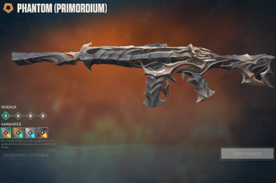 Primordium