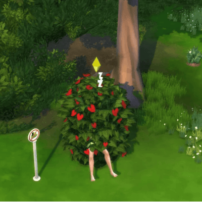 Crac-Crac dans un Buisson