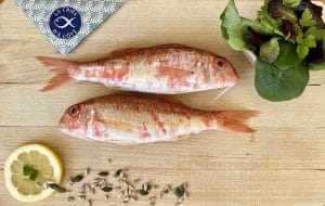 Salmonete