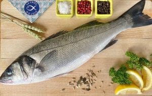 Robalo