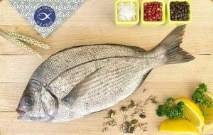 Dourada Cinza