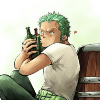 Roronoa Zoro – got lost – One Piece