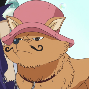 Nora Gitsune – Chopper