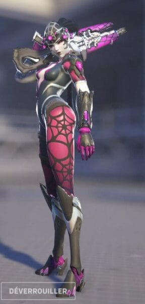 Spider