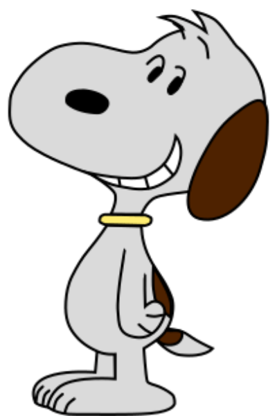 Rover