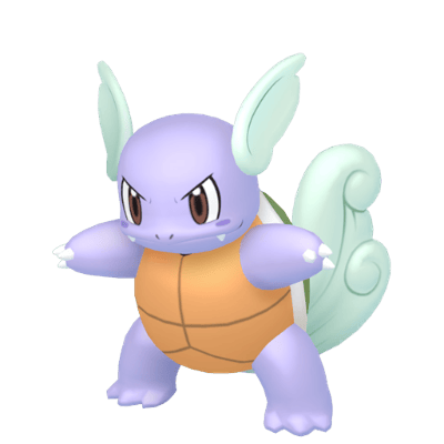 Wartortle ✨