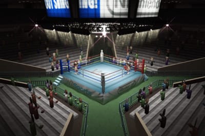 El boxeo