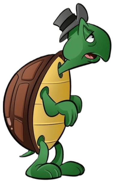 Cecil la Tortuga