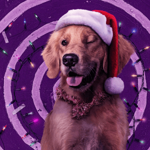 Lucky – Hawkeye