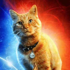 Goose – Captain Marvel