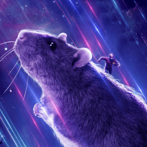Il ratto – Avengers: Endgame