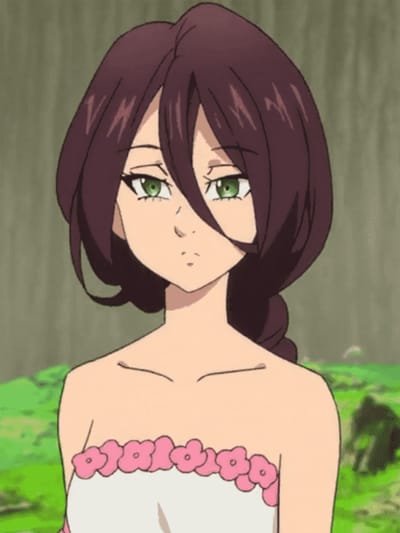 Zaneri
