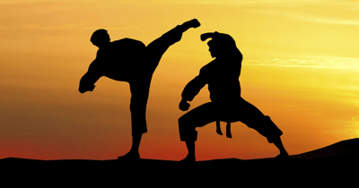 Deportes de combate