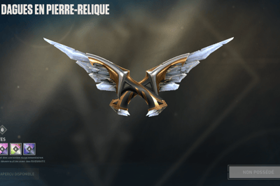 dagues en pierre-relique