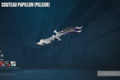 couteau papillon pilleur