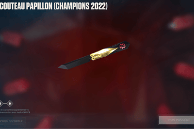 couteau papillon champoins 2022
