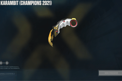 karambit champoins 2021