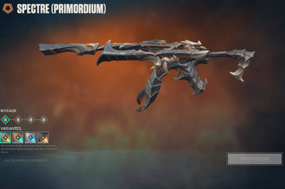 Primordium