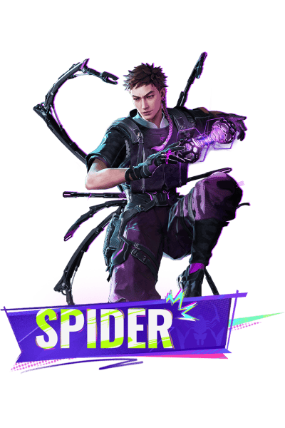 spider