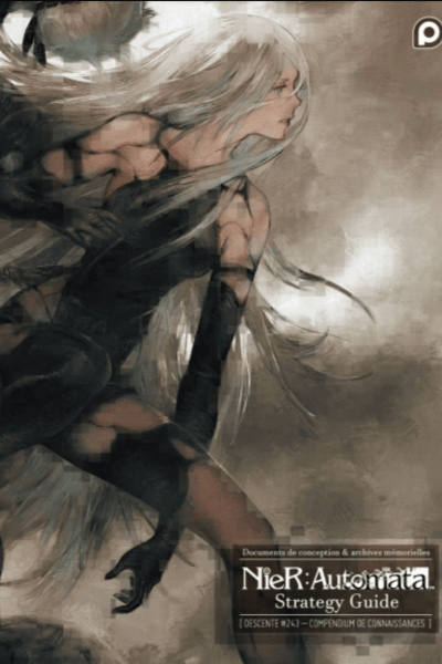 Strategy Guide