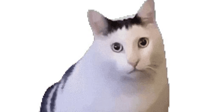 GIF que no se mueve