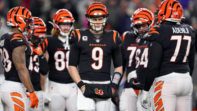 Cincinnati Bengals