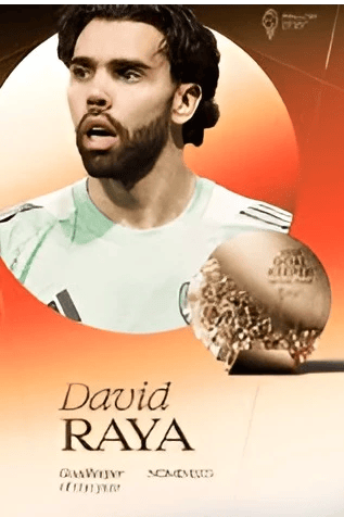 David Raya