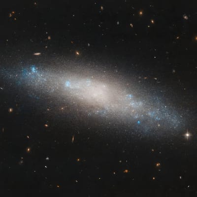 Una galaxia espiral llamada NGC 4455
