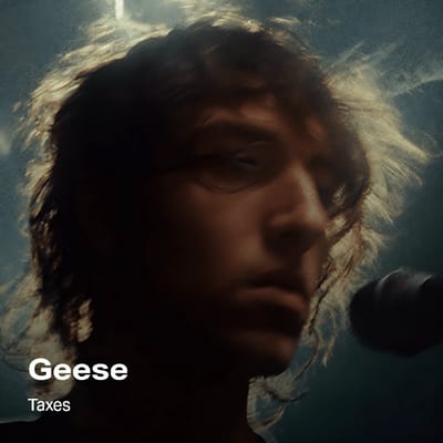 Geese - Taxes