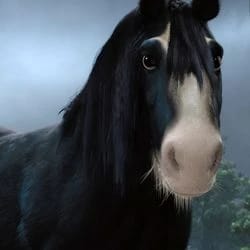 Angus (Brave)