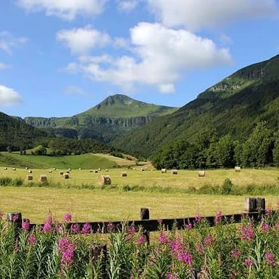 Cantal 15