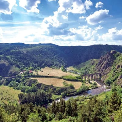 Allier 03
