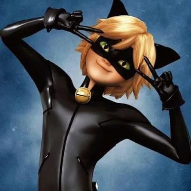 Chat Noir