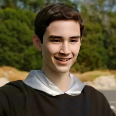 Steel Silva (Beast Morphers)