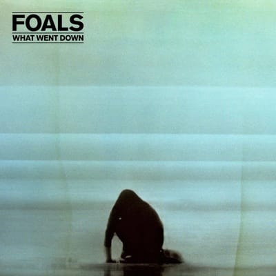 Album 4: What Went Down (2015)