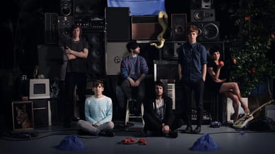 Foals