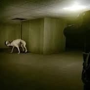 Hound