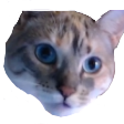 wandas5ChokbarSeraphina