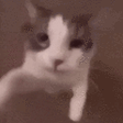 chaimaKiss