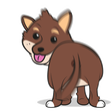 adybooBojjin