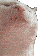 chaimaVibe