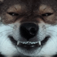 adybooSmile