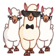 kwikwiLama