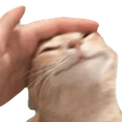 chaimaTaptap
